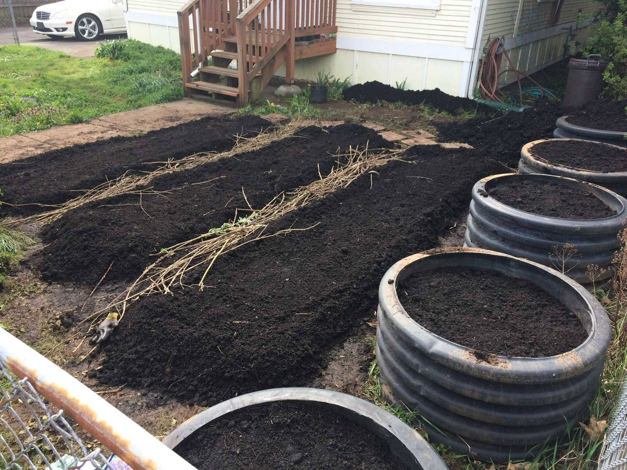 gardeninstall6.jpg