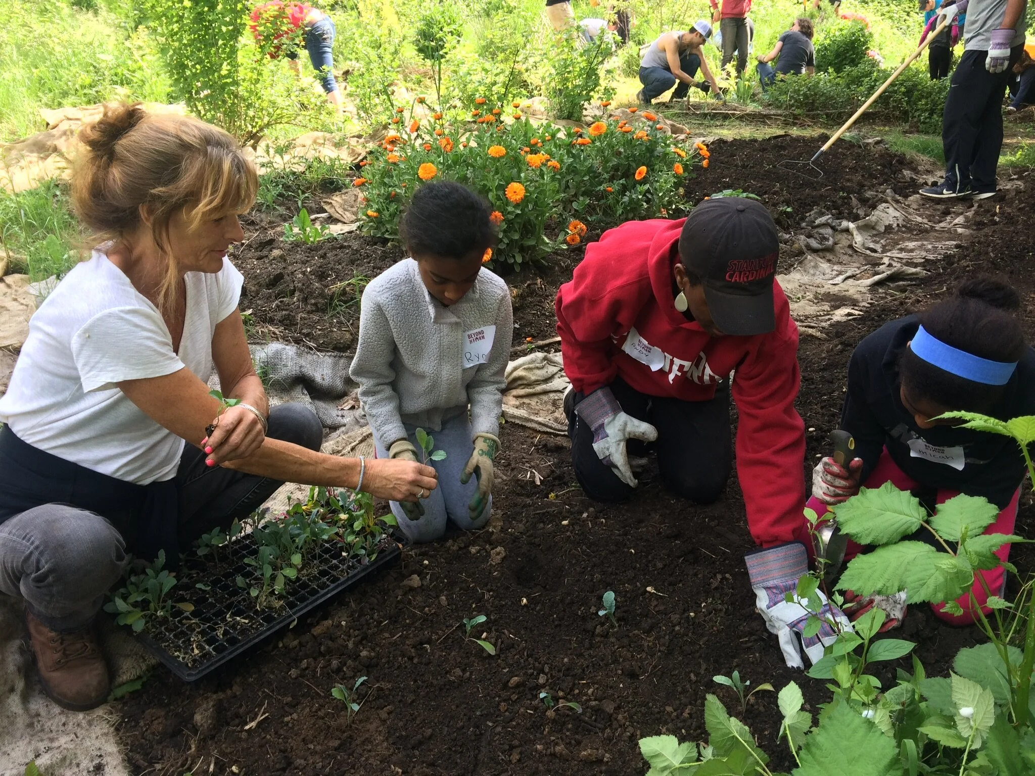 gardeningwith kids.jpg