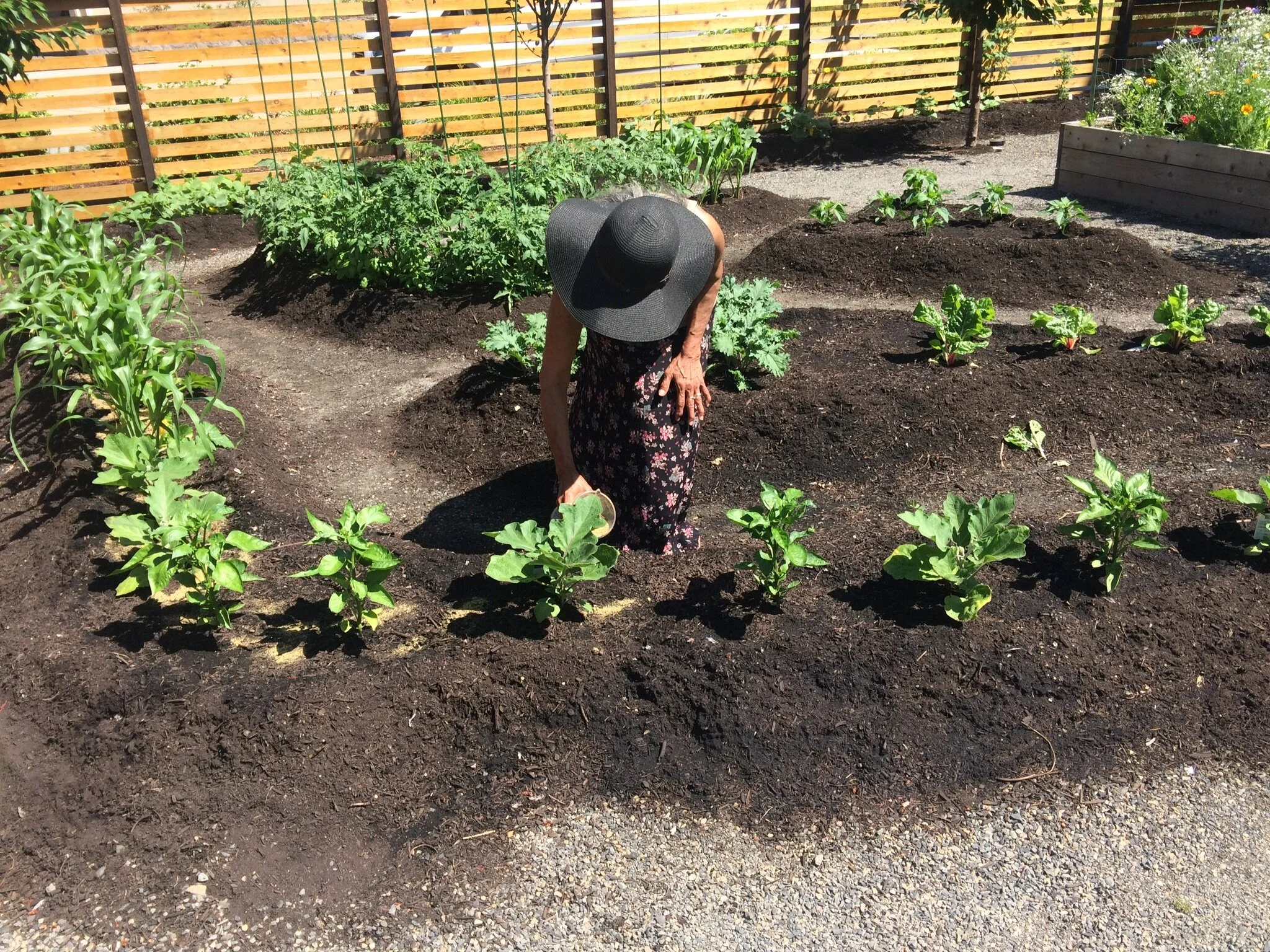 aptgardeninstall3.jpg