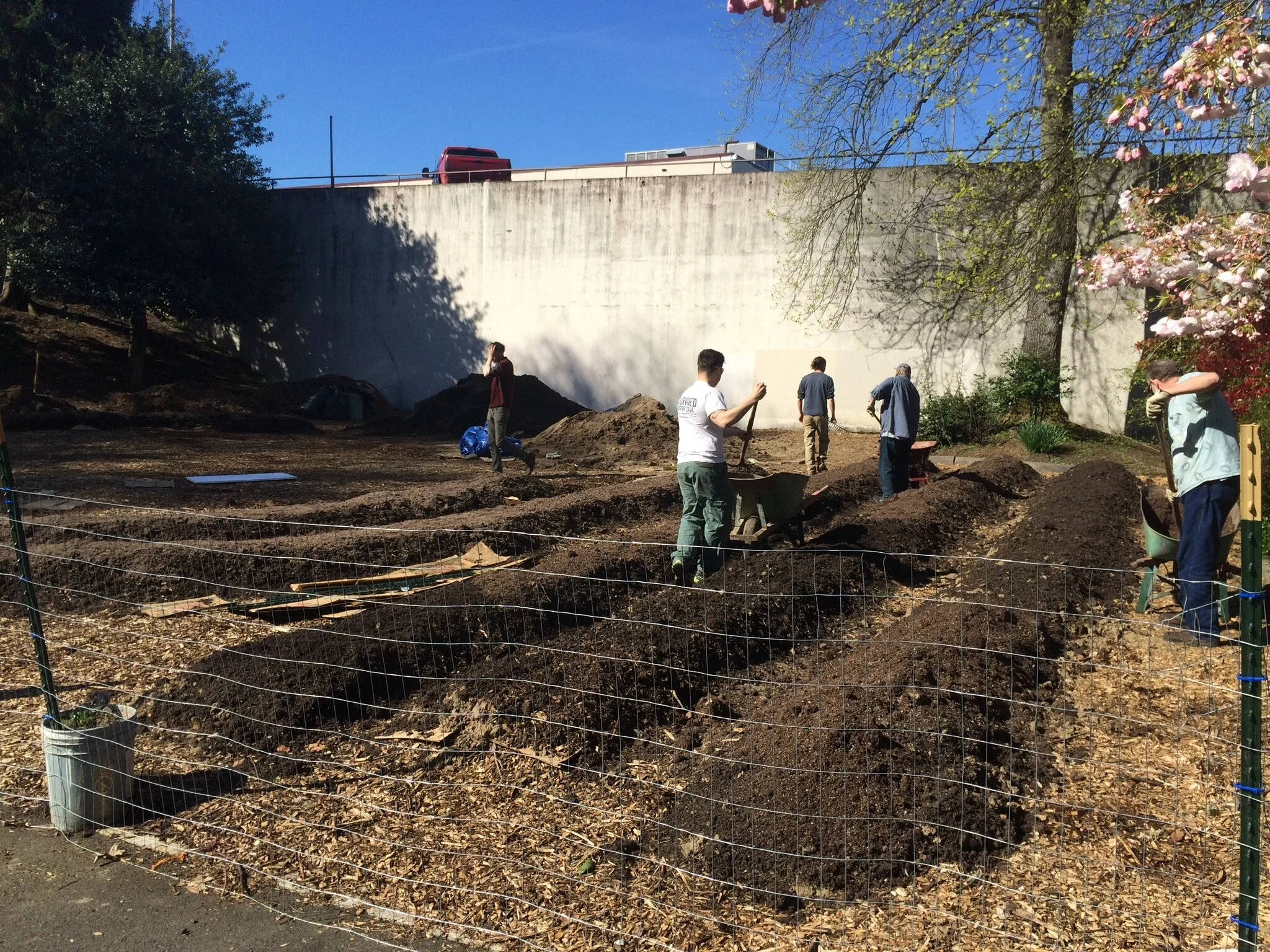 building the farm.jpg