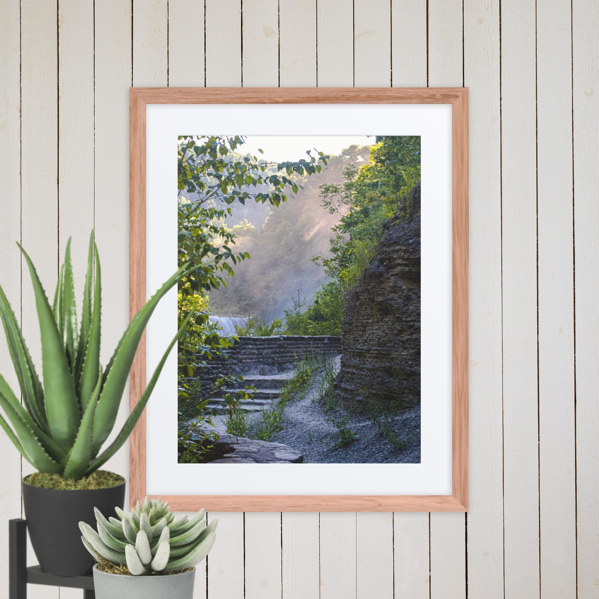 A Walk Along A Hazy Letchworth State Park Photography Print