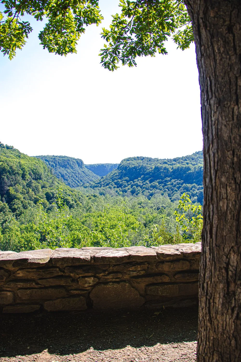 LetchworthStatePark-28June2026-LiamTheoPhotography-26.jpg