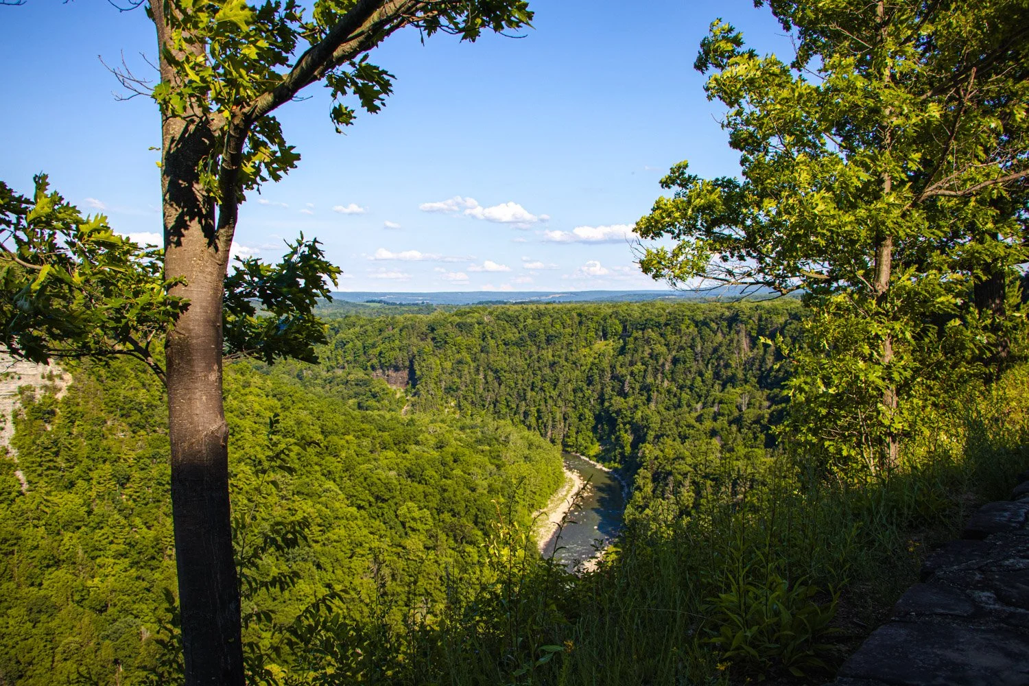 LetchworthStatePark-28June2026-LiamTheoPhotography-62.jpg