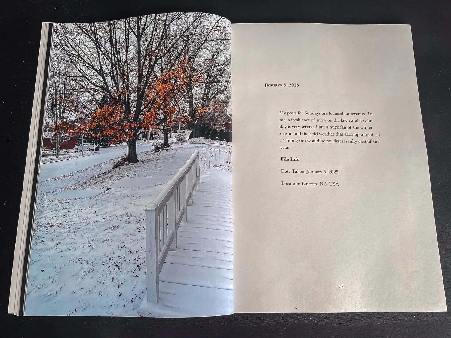 A sample from Liam Theo's Posted: January photography book. This spread features the image posted on January 5, 2025.