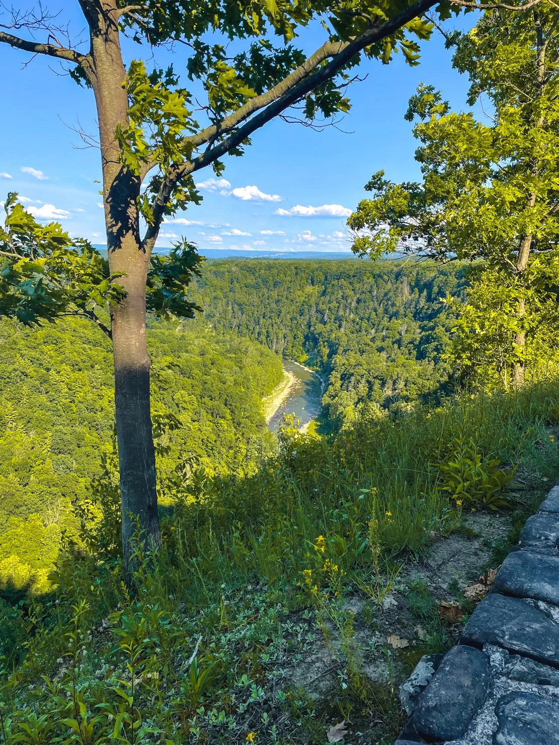 LetchworthStatePark-28June2026-LiamTheoPhotography-76.jpg