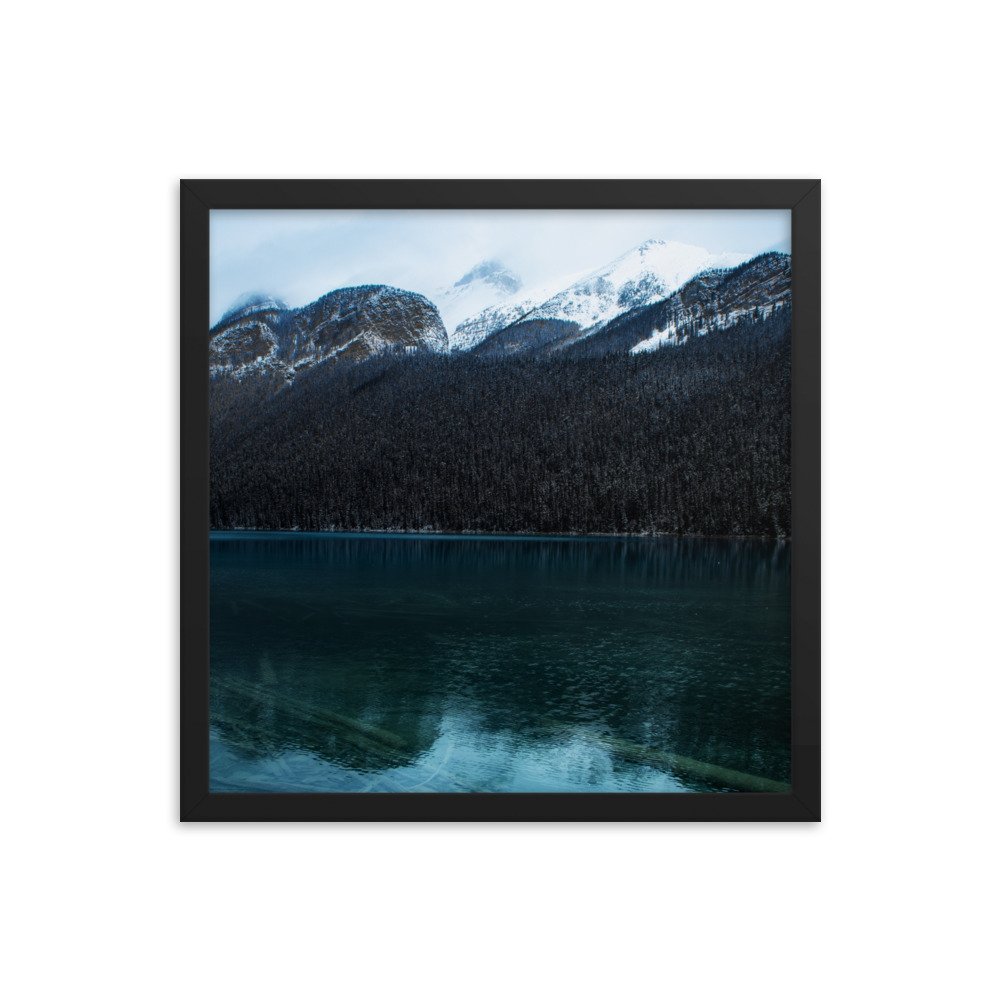 enhanced-matte-paper-framed-poster-(in)-black-16x16-transparent-61aaacef66449.jpg
