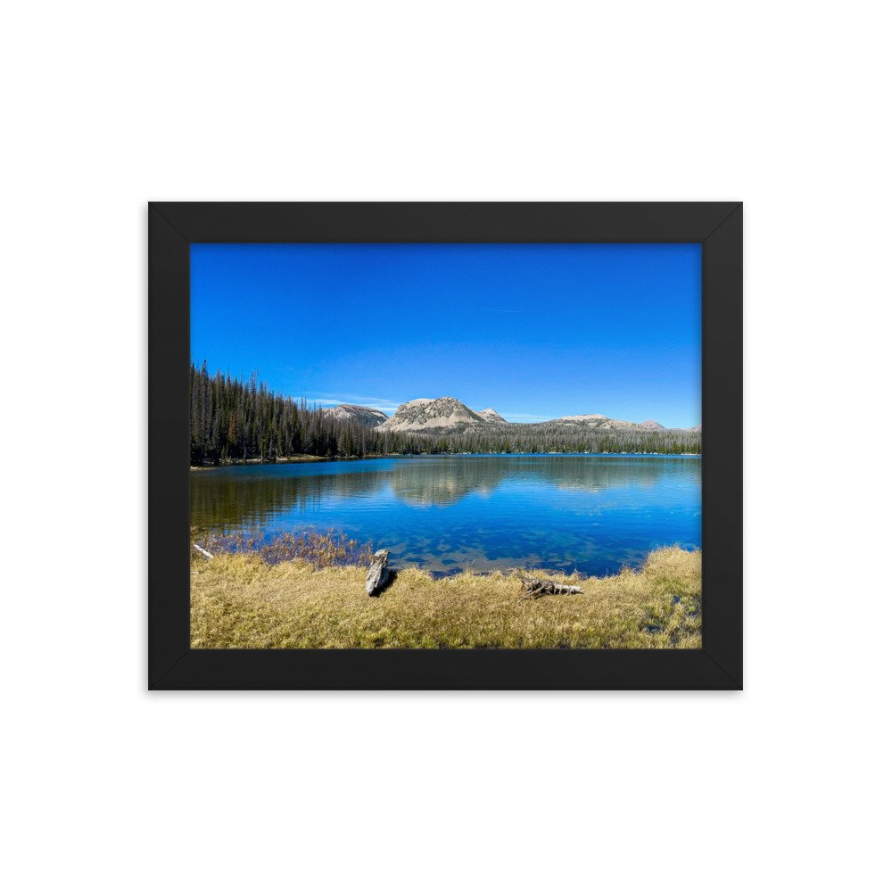 enhanced-matte-paper-framed-poster-(in)-black-8x10-transparent-61ad6ac9e5892.jpg