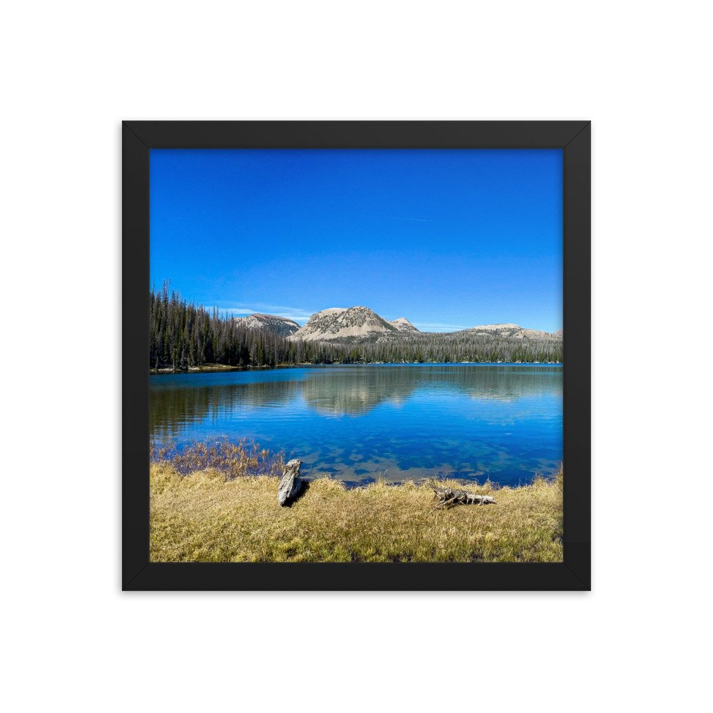 enhanced-matte-paper-framed-poster-(in)-black-12x12-transparent-61ad6ac9e59a4.jpg