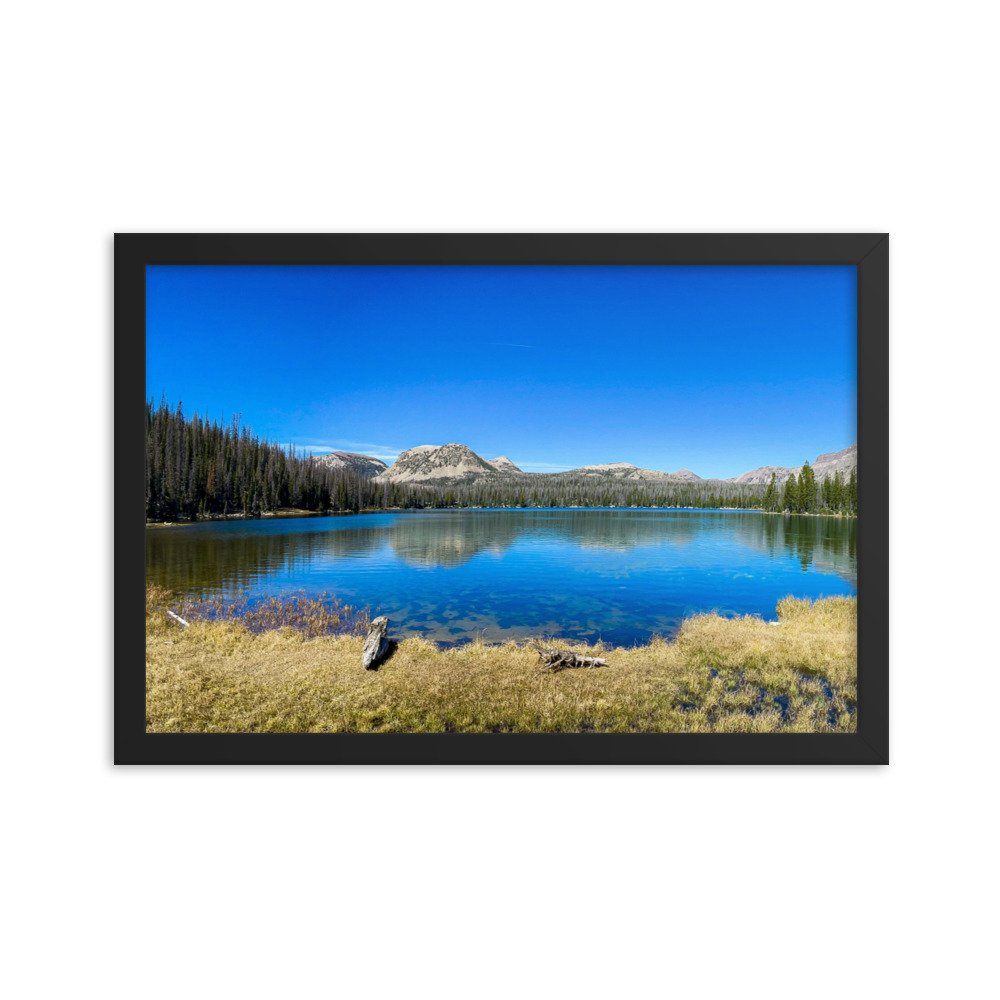 enhanced-matte-paper-framed-poster-(in)-black-12x18-transparent-61ad6ac9e5ab8.jpg