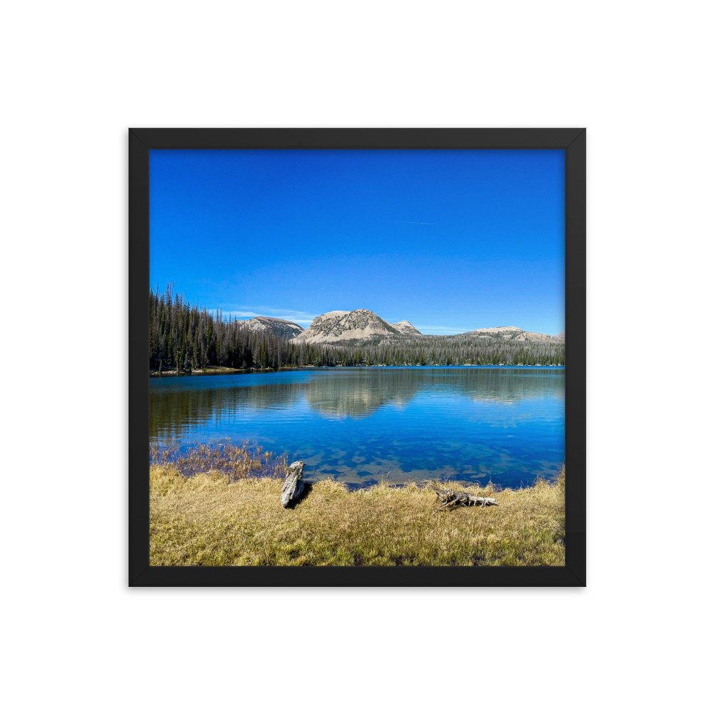 enhanced-matte-paper-framed-poster-(in)-black-16x16-transparent-61ad6ac9e5bc5.jpg