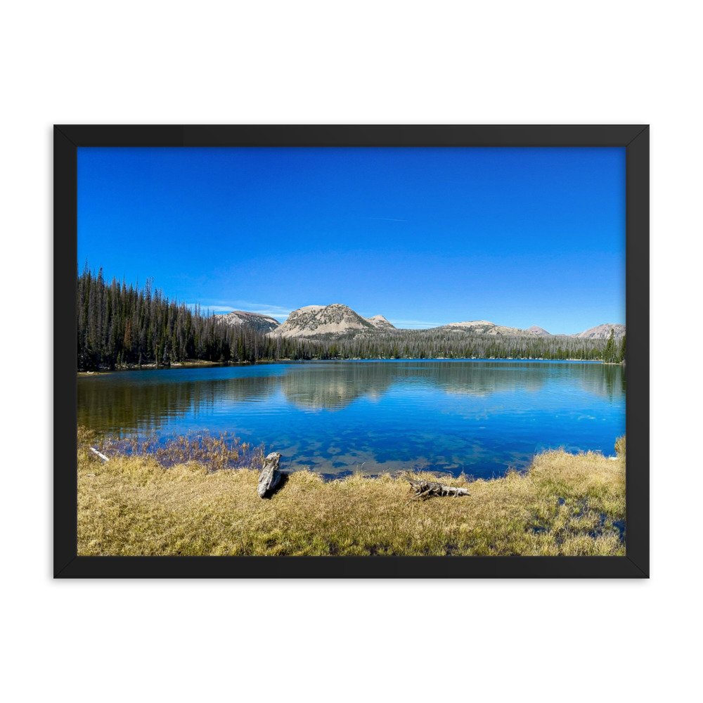 enhanced-matte-paper-framed-poster-(in)-black-18x24-transparent-61ad6ac9e5d56.jpg