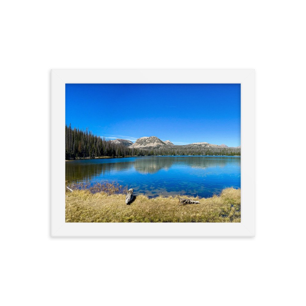enhanced-matte-paper-framed-poster-(in)-white-8x10-transparent-61ad6ac9e5e18.jpg