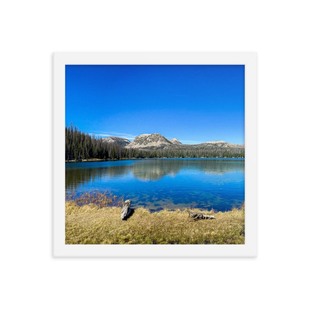 enhanced-matte-paper-framed-poster-(in)-white-12x12-transparent-61ad6ac9e5f1f.jpg