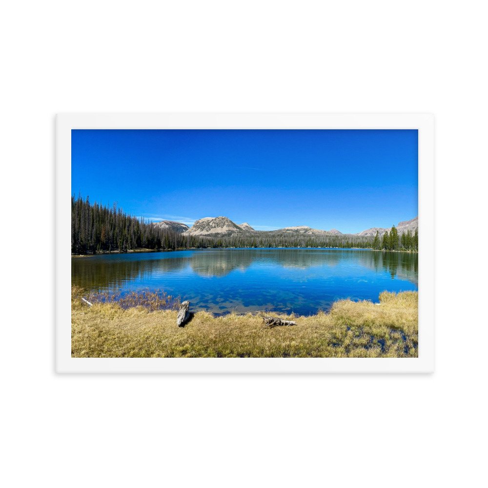enhanced-matte-paper-framed-poster-(in)-white-12x18-transparent-61ad6ac9e6034.jpg