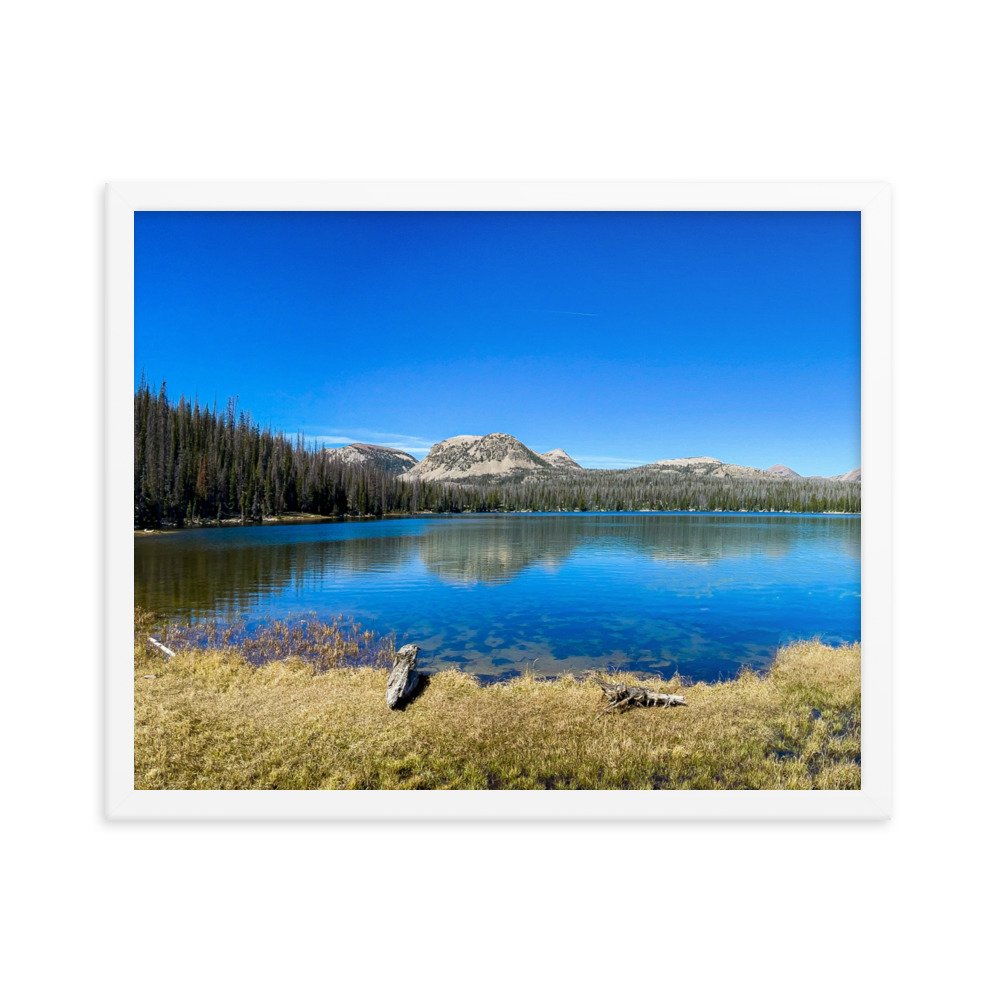 enhanced-matte-paper-framed-poster-(in)-white-16x20-transparent-61ad6ac9e62d2.jpg
