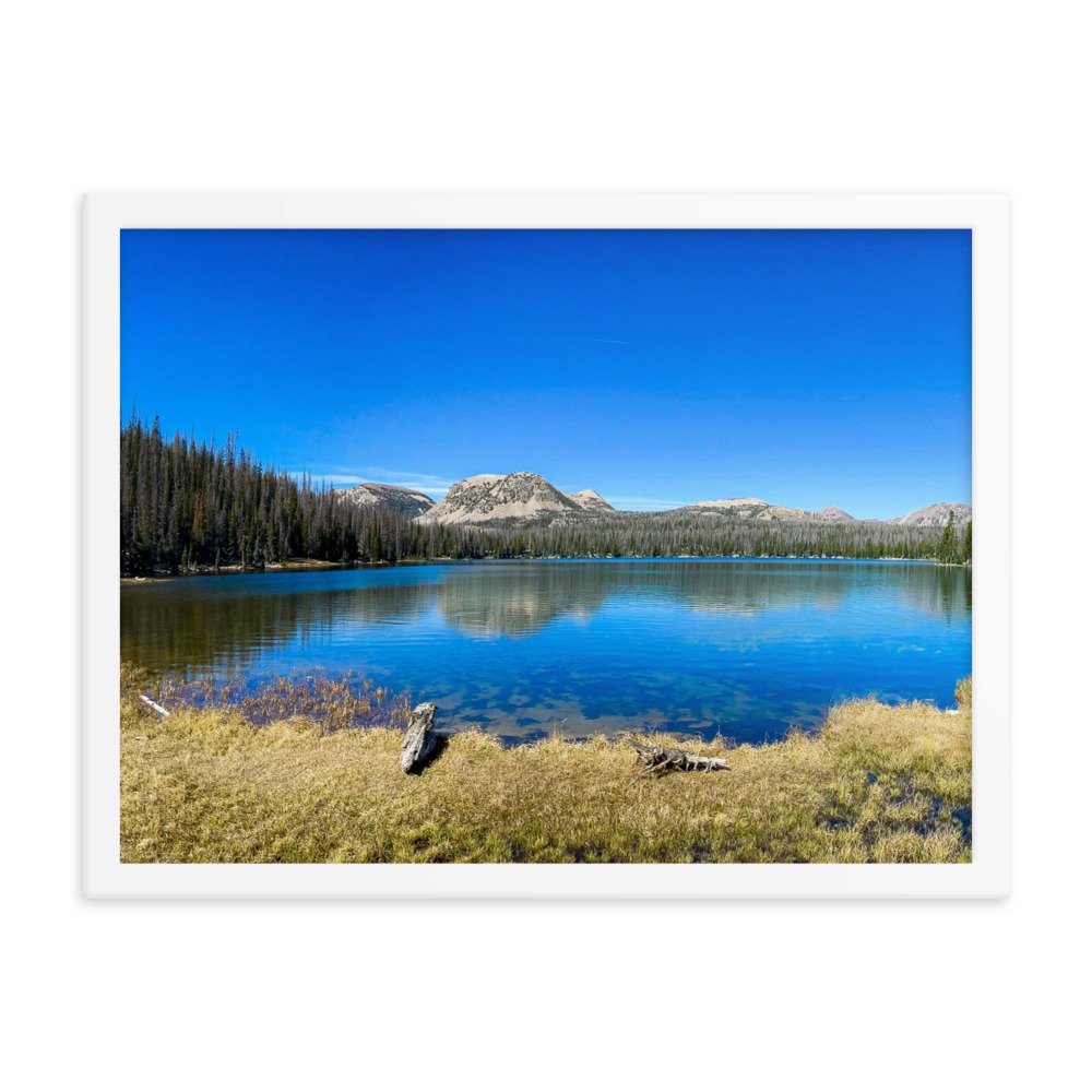 enhanced-matte-paper-framed-poster-(in)-white-18x24-transparent-61ad6ac9e6416.jpg