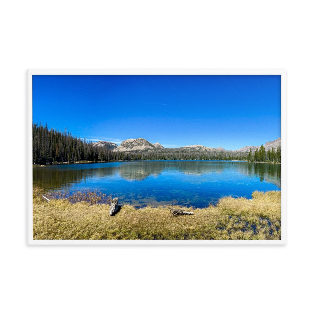 enhanced-matte-paper-framed-poster-(in)-white-24x36-transparent-61ad6ac9e649c.jpg