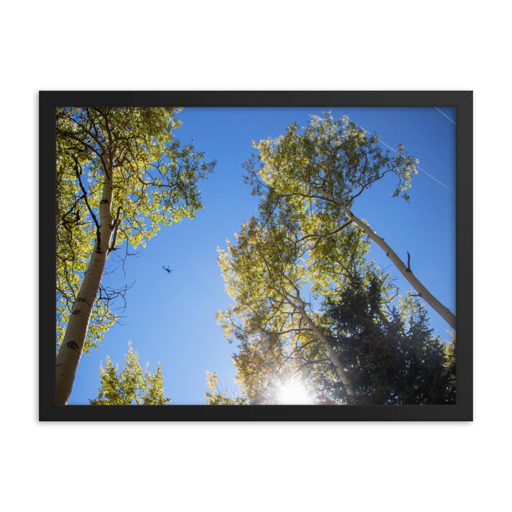 enhanced-matte-paper-framed-poster-(in)-black-18x24-transparent-61aec8f95652a.jpg
