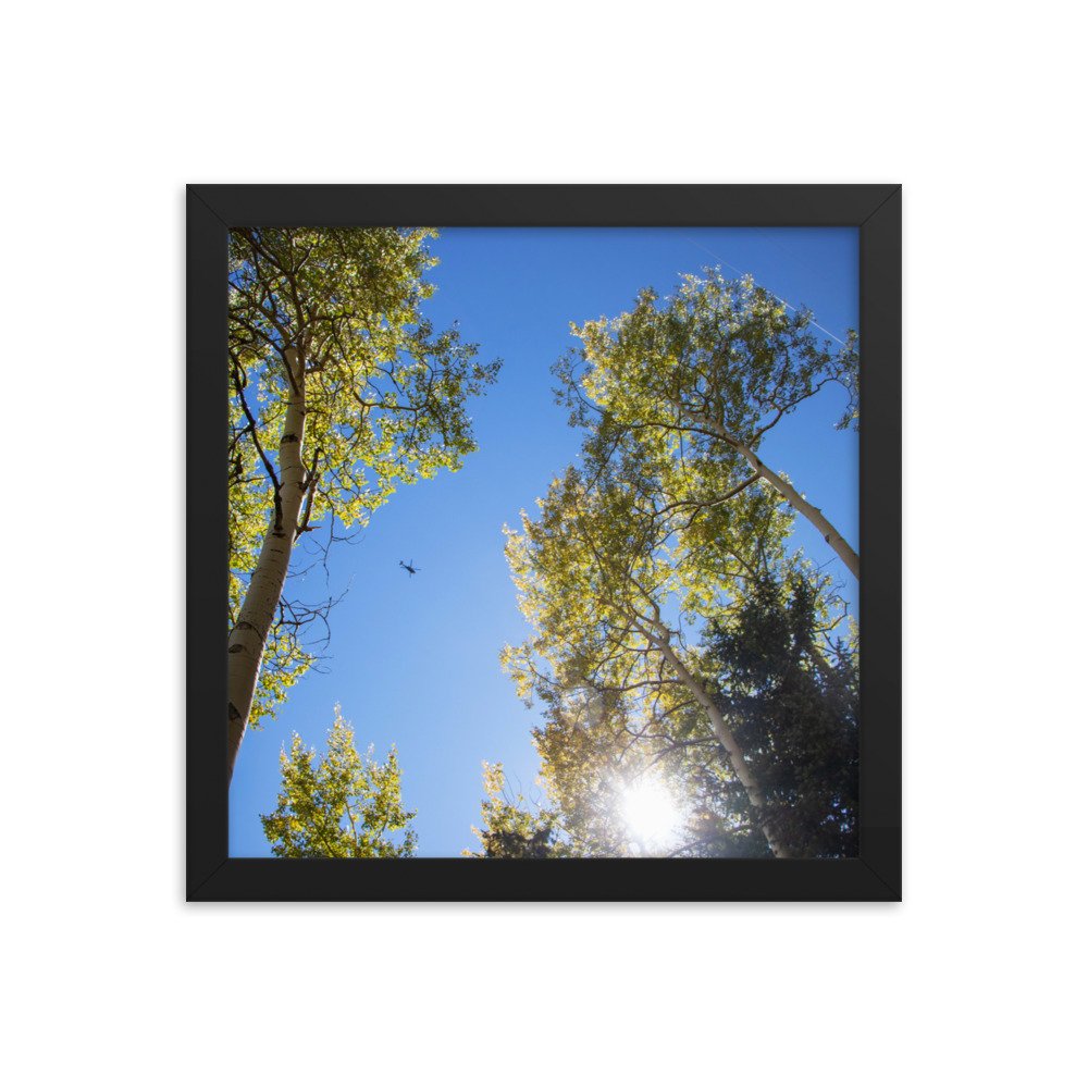 enhanced-matte-paper-framed-poster-(in)-black-12x12-transparent-61aec8f956808.jpg
