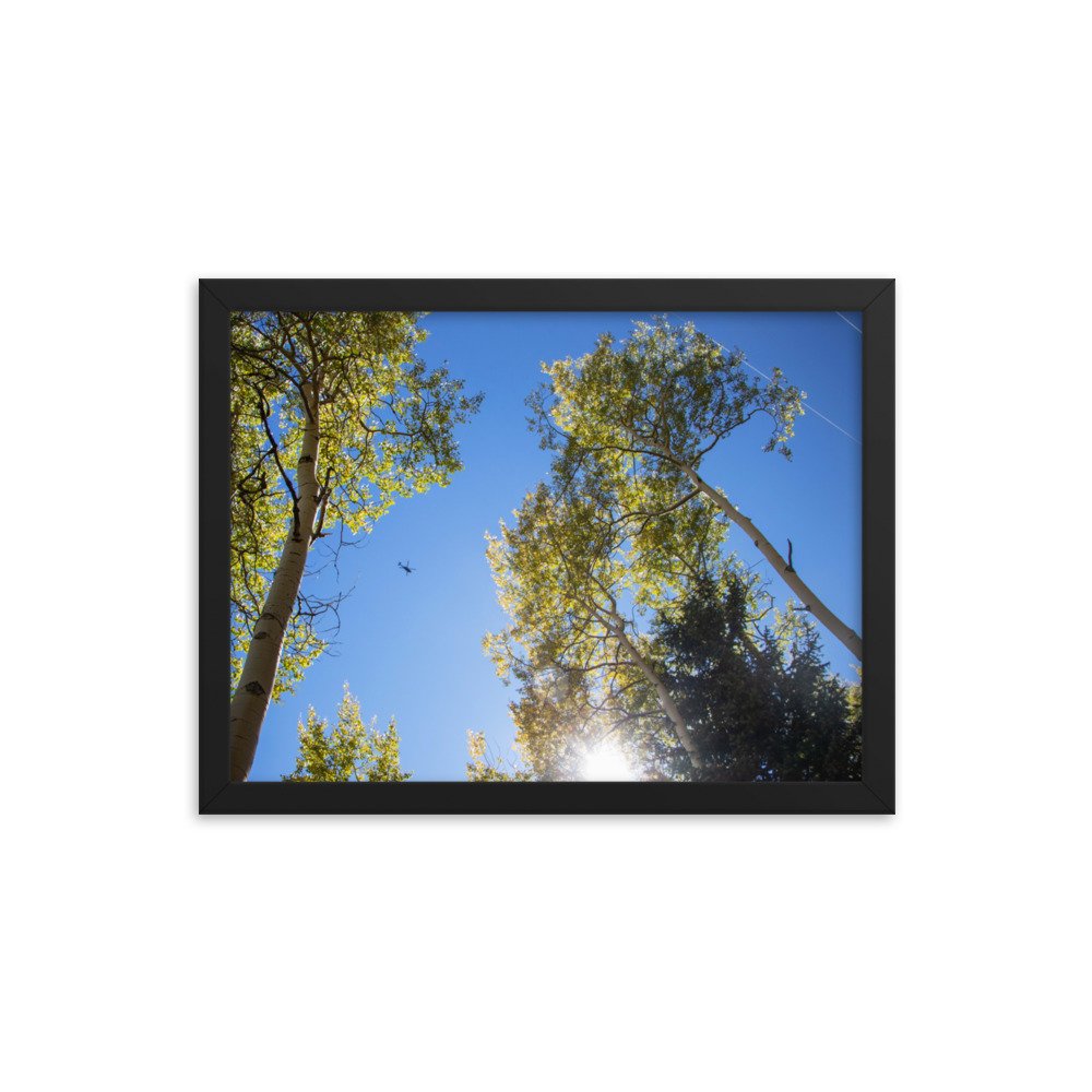 enhanced-matte-paper-framed-poster-(in)-black-12x16-transparent-61aec8f95688c.jpg