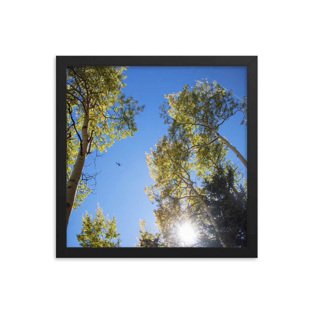 enhanced-matte-paper-framed-poster-(in)-black-14x14-transparent-61aec8f95699f.jpg