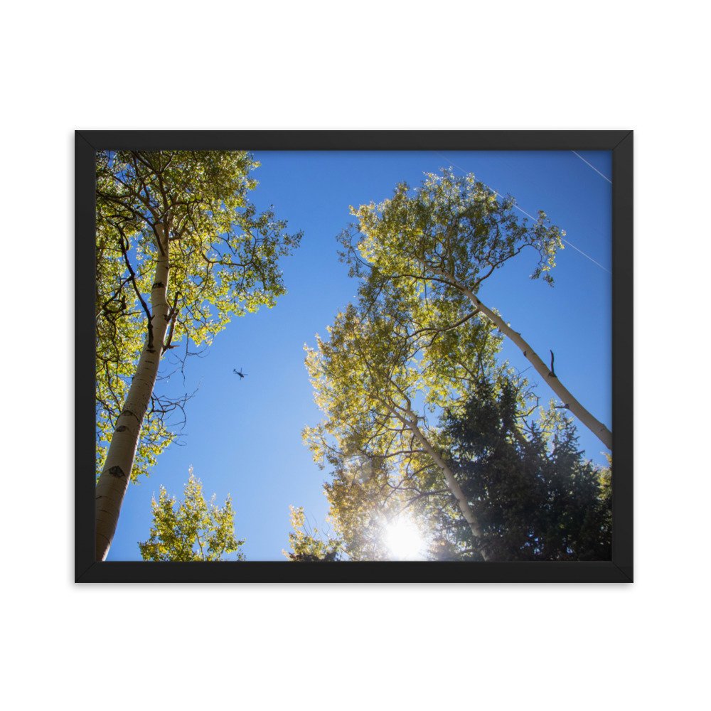 enhanced-matte-paper-framed-poster-(in)-black-16x20-transparent-61aec8f956a9f.jpg