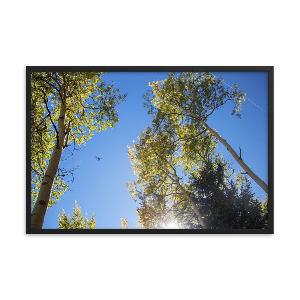 enhanced-matte-paper-framed-poster-(in)-black-24x36-transparent-61aec8f956bf1.jpg