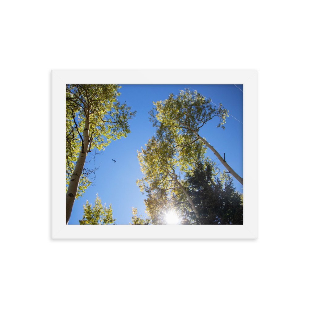 enhanced-matte-paper-framed-poster-(in)-white-8x10-transparent-61aec8f956c72.jpg