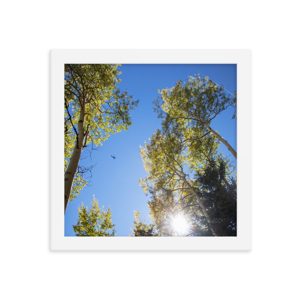 enhanced-matte-paper-framed-poster-(in)-white-10x10-transparent-61aec8f956cf0.jpg