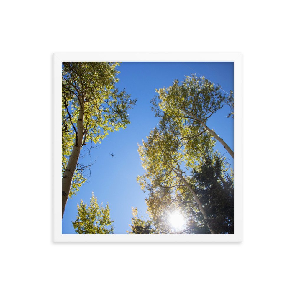 enhanced-matte-paper-framed-poster-(in)-white-16x16-transparent-61aec8f956f8b.jpg