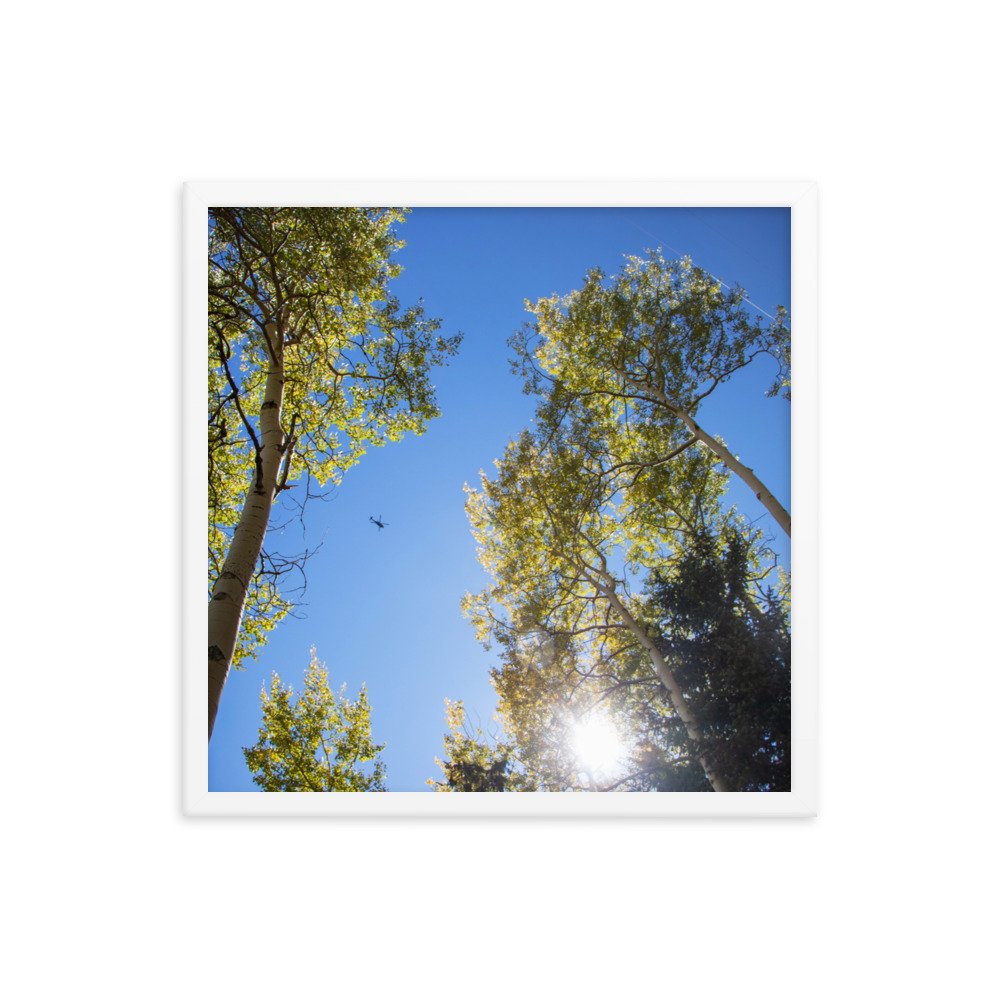 enhanced-matte-paper-framed-poster-(in)-white-18x18-transparent-61aec8f95713c.jpg