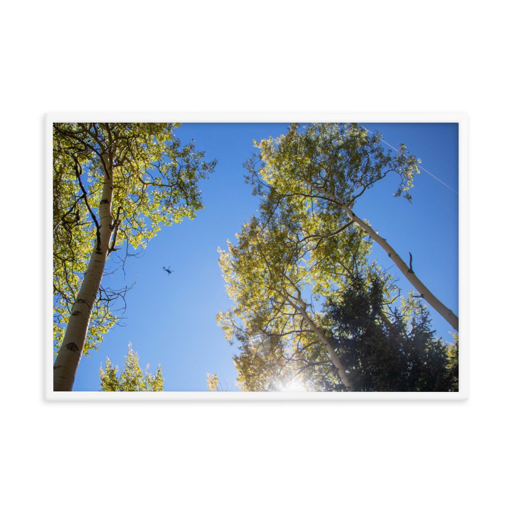 enhanced-matte-paper-framed-poster-(in)-white-24x36-transparent-61aec8f957275.jpg