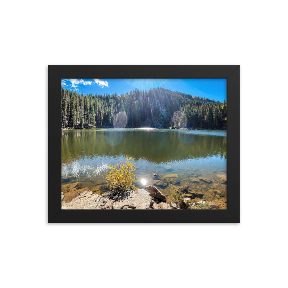enhanced-matte-paper-framed-poster-(in)-black-8x10-transparent-61aef7b8325f9.jpg
