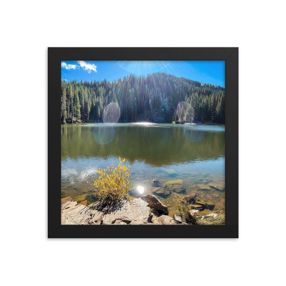 enhanced-matte-paper-framed-poster-(in)-black-10x10-transparent-61aef7b8326b2.jpg