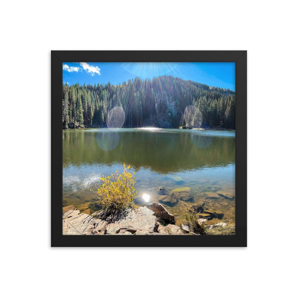 enhanced-matte-paper-framed-poster-(in)-black-12x12-transparent-61aef7b83276f.jpg