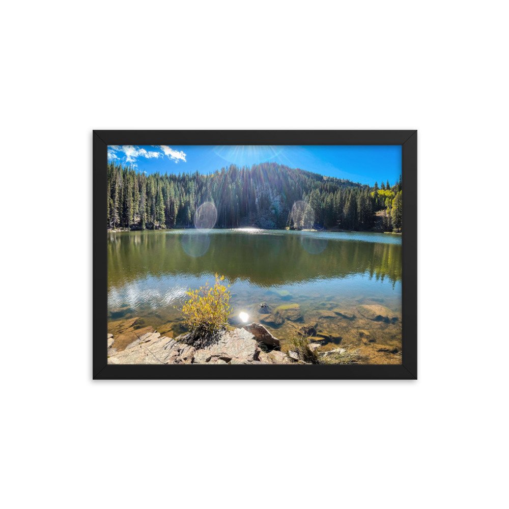 enhanced-matte-paper-framed-poster-(in)-black-12x16-transparent-61aef7b832822.jpg