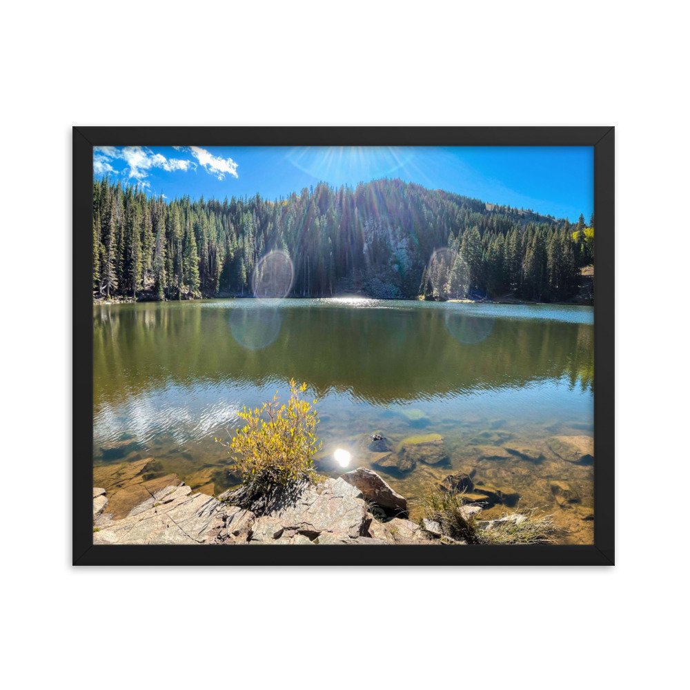 enhanced-matte-paper-framed-poster-(in)-black-16x20-transparent-61aef7b832b00.jpg