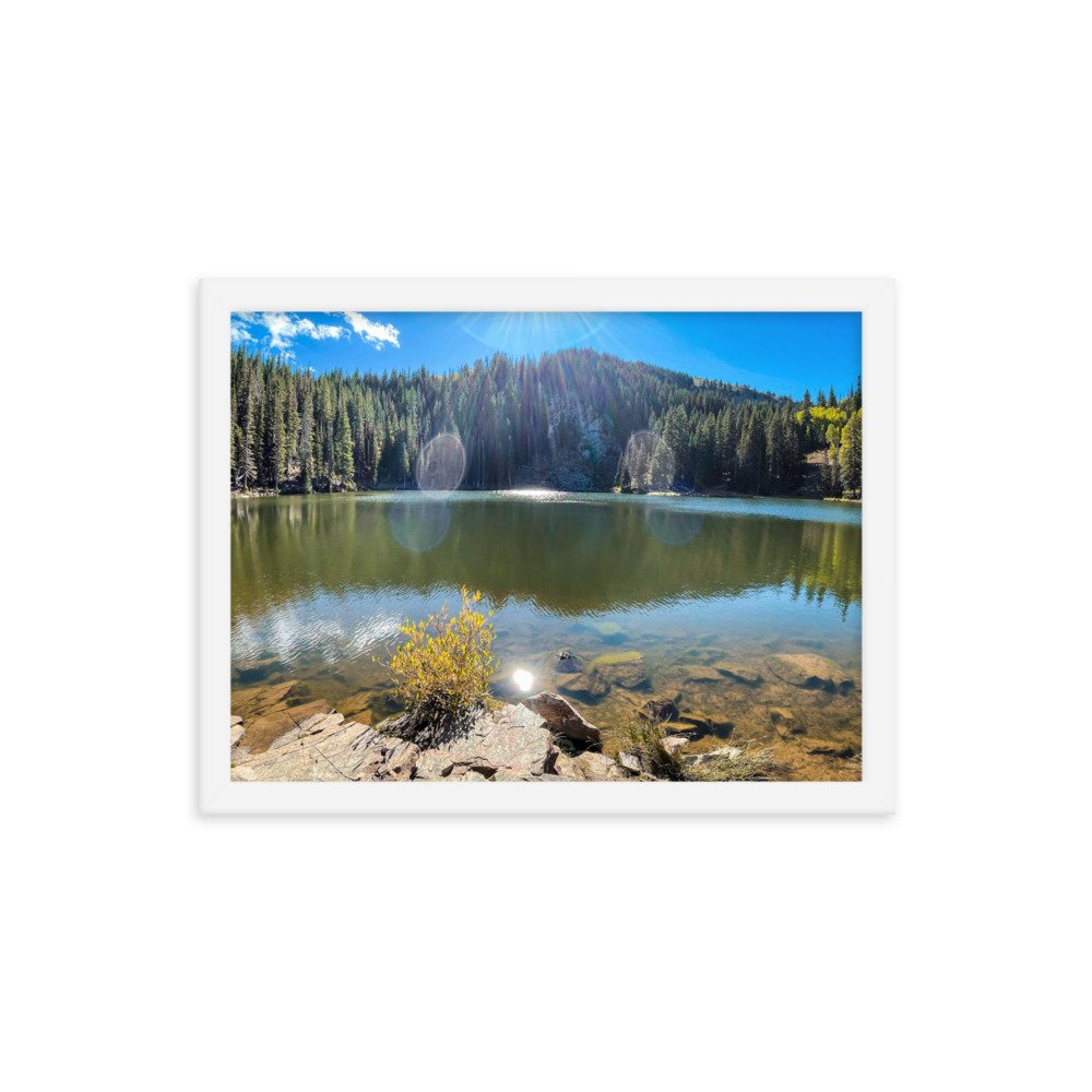 enhanced-matte-paper-framed-poster-(in)-white-12x16-transparent-61aef7b832f46.jpg