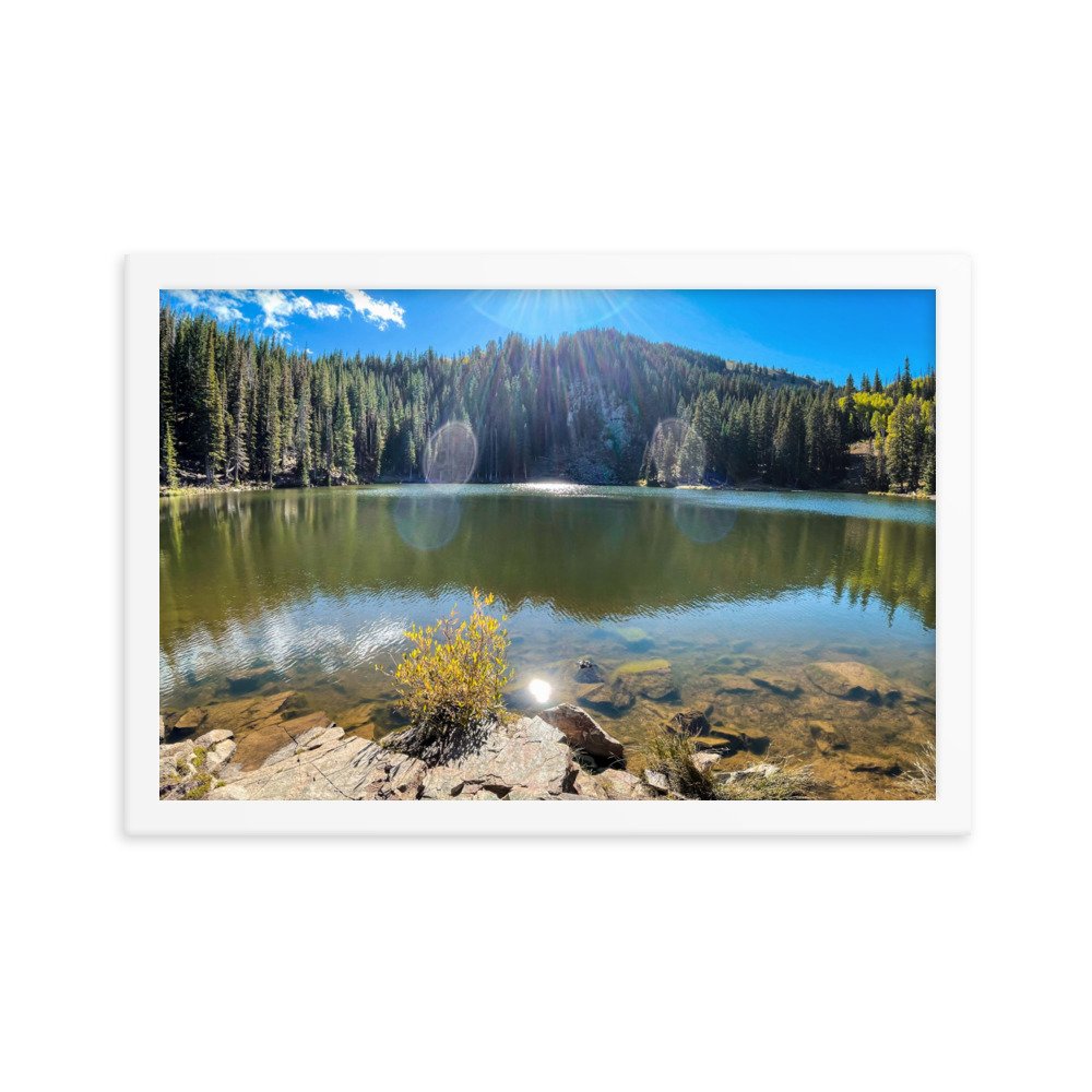 enhanced-matte-paper-framed-poster-(in)-white-12x18-transparent-61aef7b832fc7.jpg