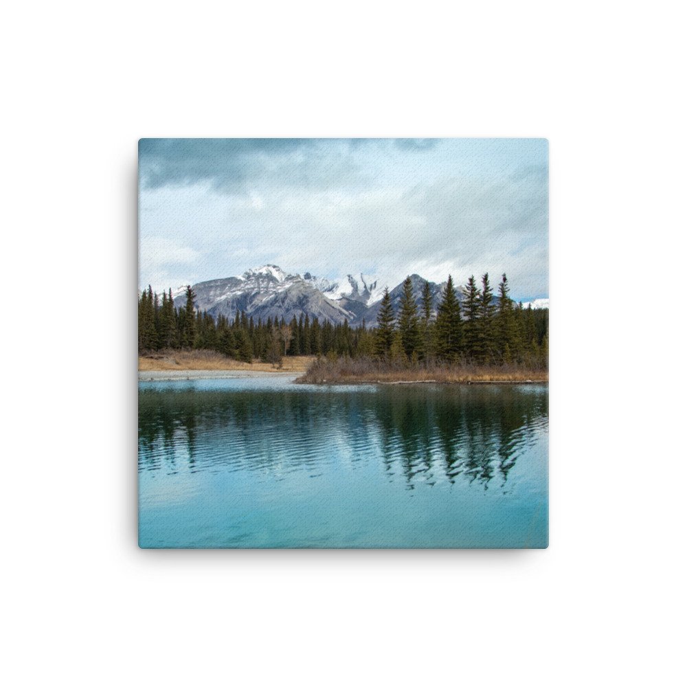 canvas-(in)-16x16-wall-61c2a96686d1e.jpg