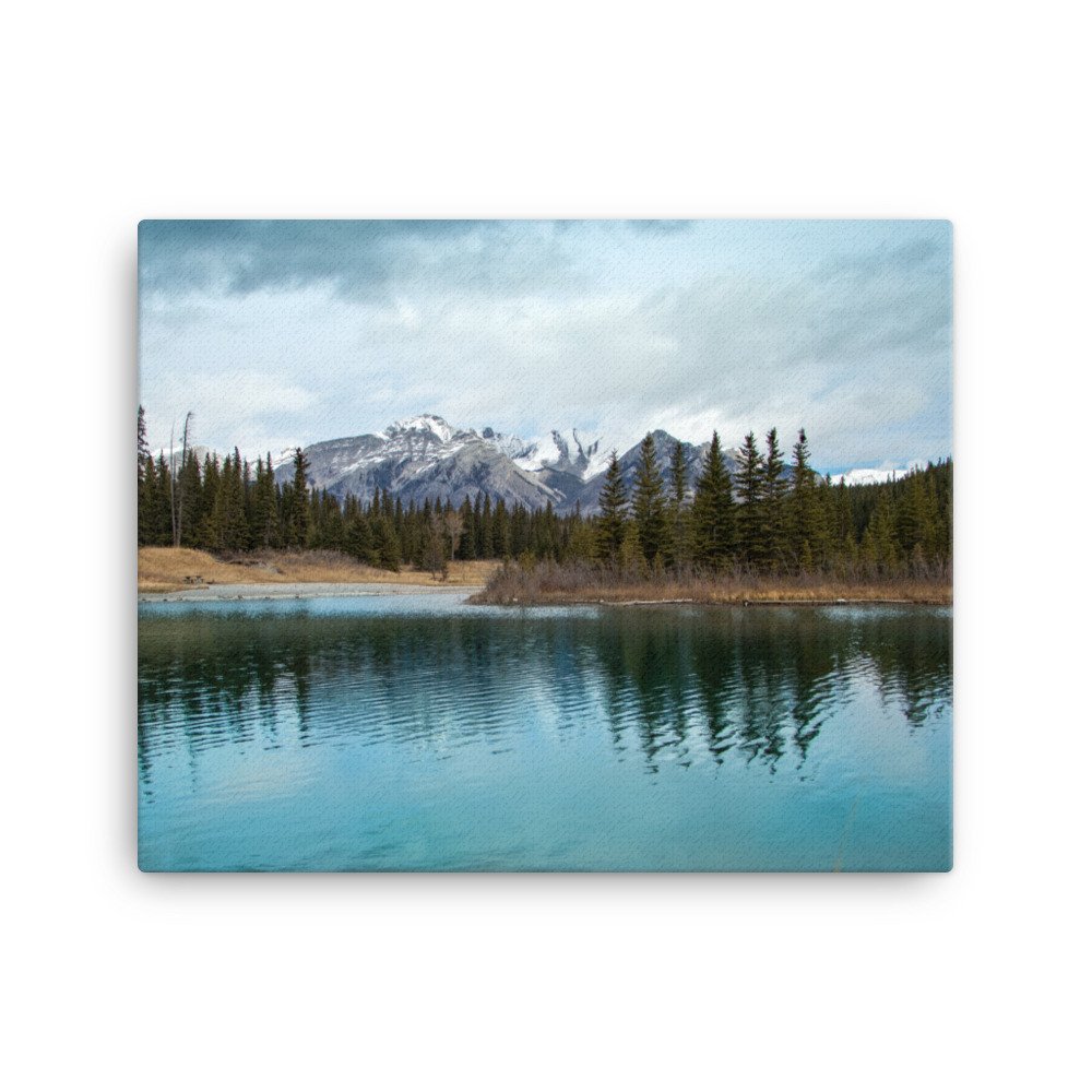canvas-(in)-16x20-wall-61c2a96686da7.jpg