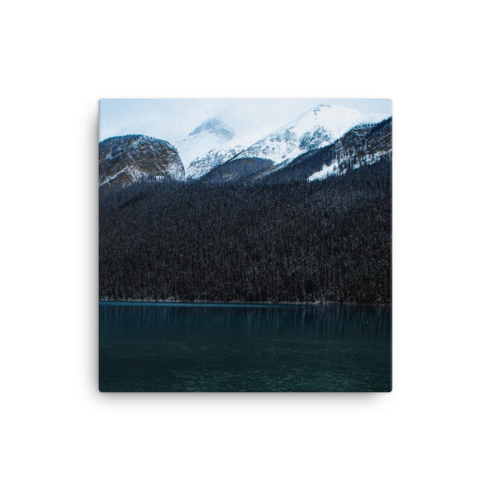 canvas-(in)-16x16-wall-61c2ad1f68d4f.jpg