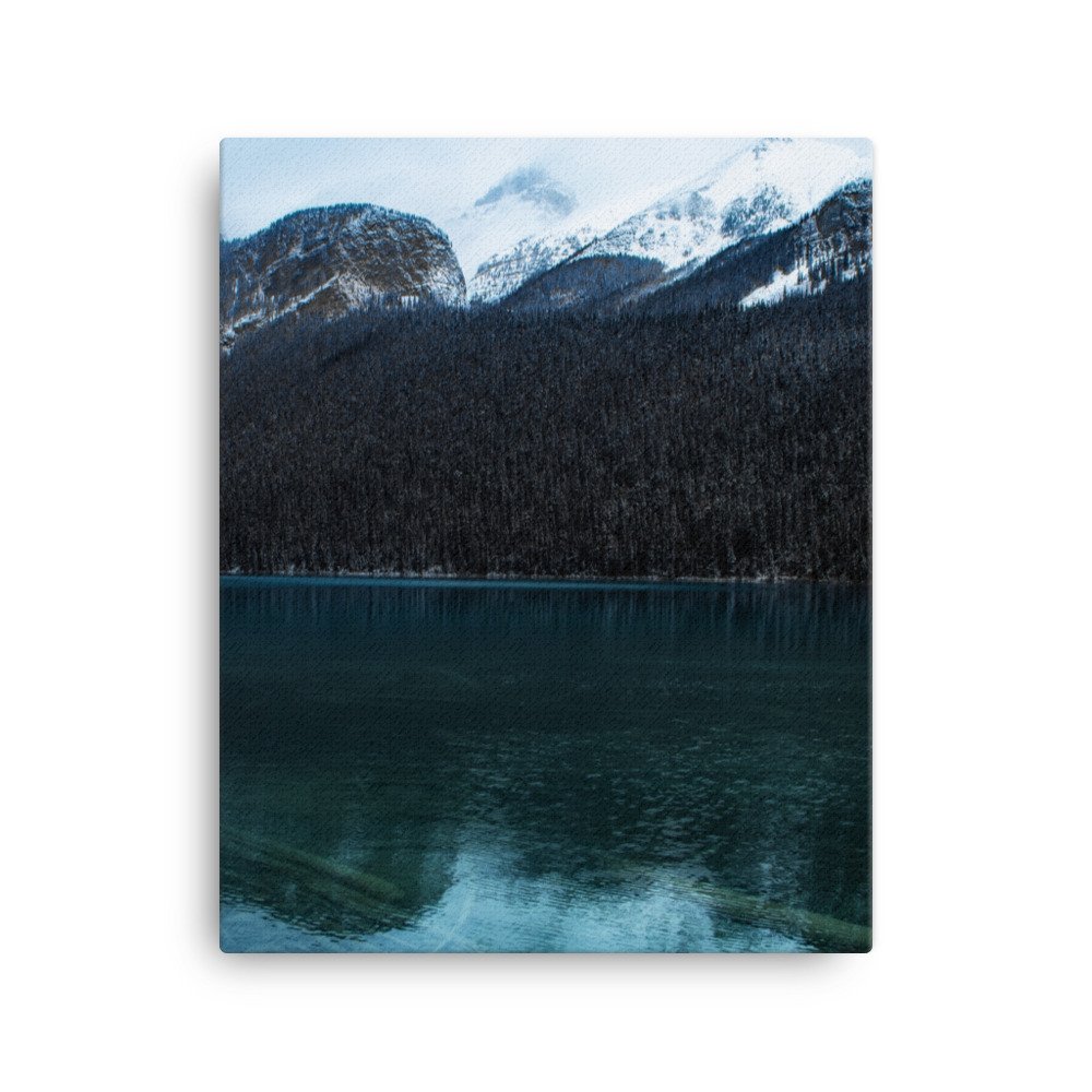 canvas-(in)-16x20-wall-61c2ad1f68e1a.jpg