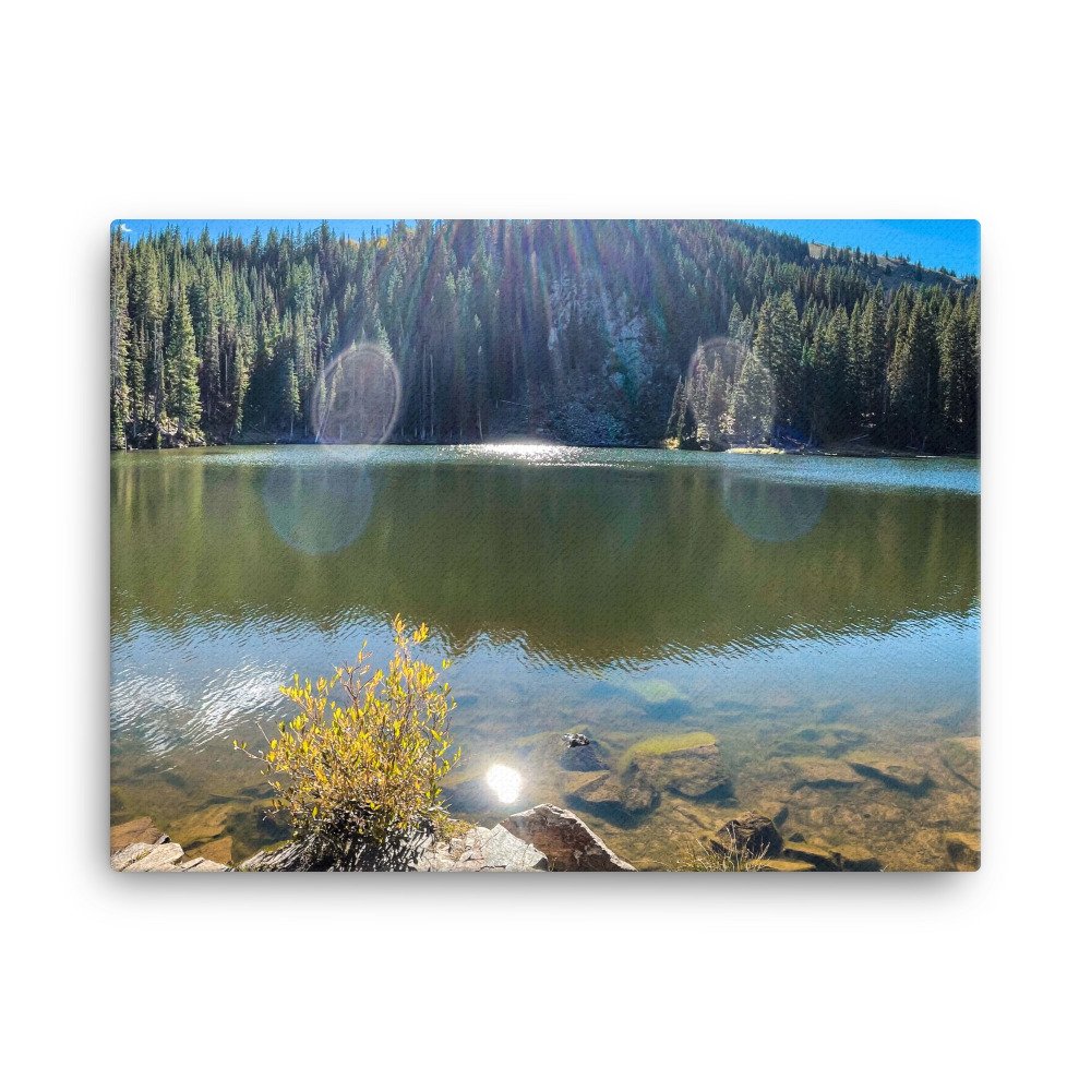 canvas-(in)-18x24-wall-61dd24392f267.jpg