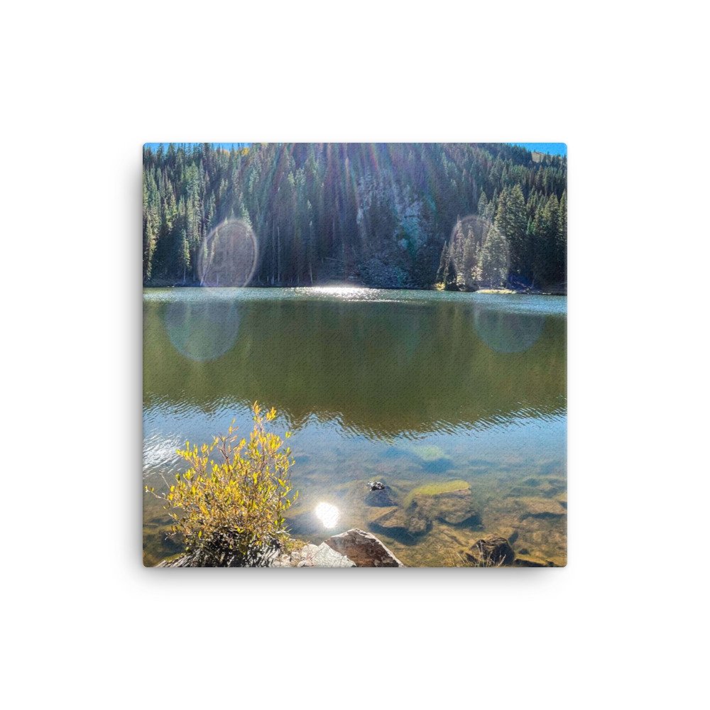 canvas-(in)-16x16-wall-61dd24392f4c1.jpg