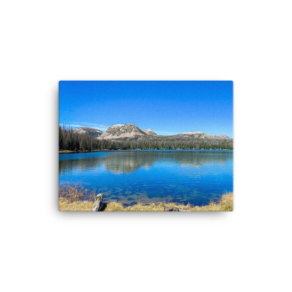 canvas-(in)-12x16-wall-61dddbf749fd6.jpg