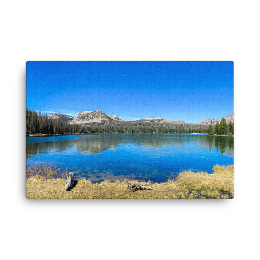 canvas-(in)-24x36-wall-61dddbf74a26d.jpg