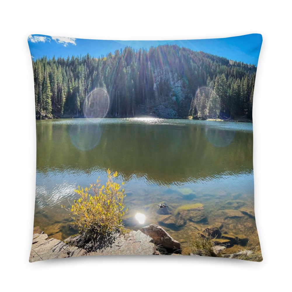 all-over-print-basic-pillow-22x22-back-61e86bf121d0c.jpg