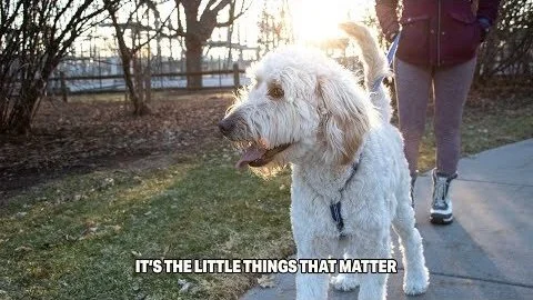 It's The Little Things That Matter (Copy)