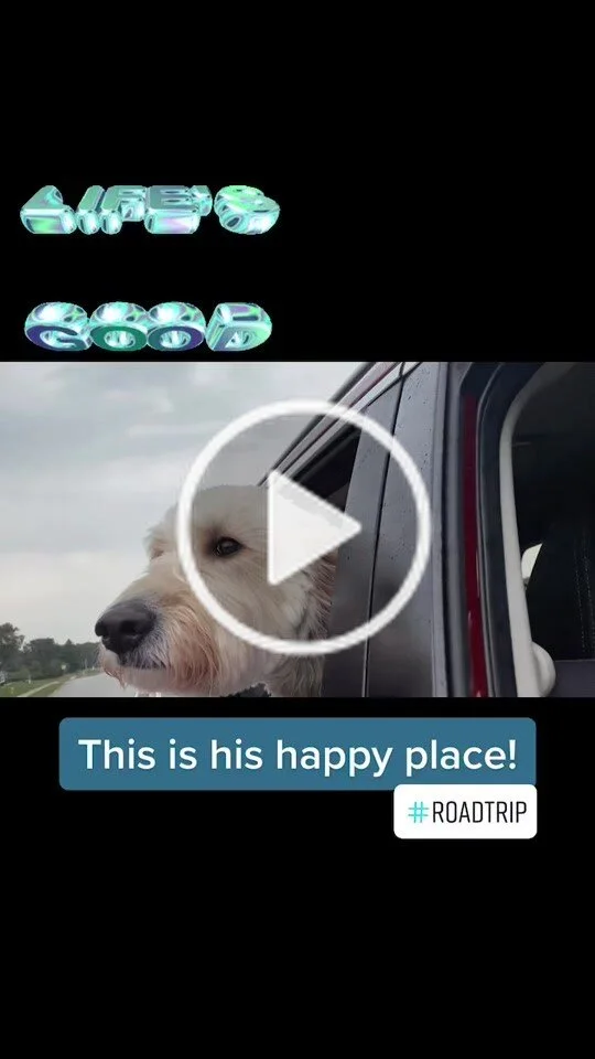 This Is His Happy Place (Copy)